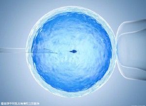 胚胎培养室